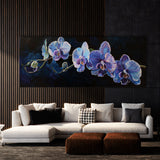 Orchids Midnight 2