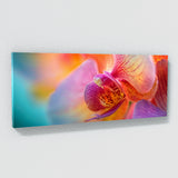 Orchids Petal Symphony 22