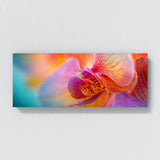 Orchids Petal Symphony 22