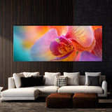 Orchids Petal Symphony 22