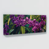 Orchids Regal Elegance 5