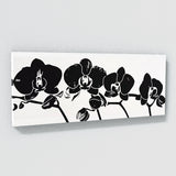 Orchids Shadow Elegance 26