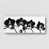 Orchids Shadow Elegance 26