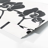 Orchids Shadow Elegance 26