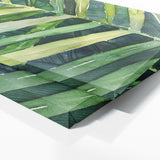 Palm Lush Green Fronds 13