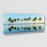 Palm Serene Reflection 20
