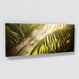 Palm Sunlit Symphony 21