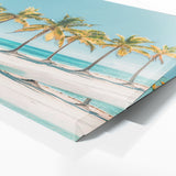 Palm Tropical Serenity Frame 23