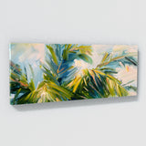 Palm Windy Dance 7