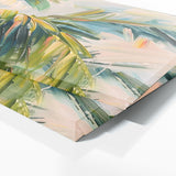 Palm Windy Dance 7