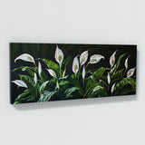 Peace Lily Lilys Grace 5