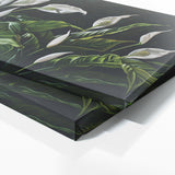 Peace Lily Lilys Grace 5
