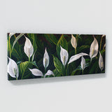 Peace Lily Lilys Grace 6