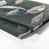 Peace Lily Lilys Grace 6