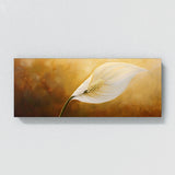 Peace Lily Peaceful Bloom 1