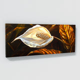 Peace Lily Sunlit Serenity 3