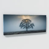 Oak Tree Ethereal Oak Mist 99