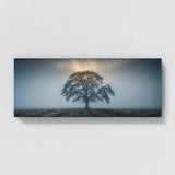Oak Tree Ethereal Oak Mist 99