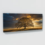 Oak Tree Golden Oak Majesty 98