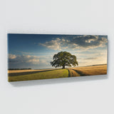 Oak Tree Majestic Oak Vista 107