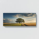Oak Tree Majestic Oak Vista 107