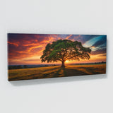 Oak Tree Sunset Oak Majesty 106