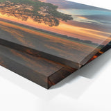 Oak Tree Sunset Oak Majesty 106