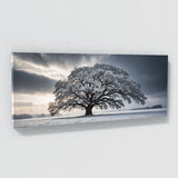 Oak Tree Winter Oak Elegance 116