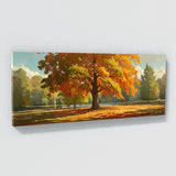 Maple Tree Autumn Maple Radiance 17