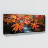 Maple Tree Autumns Whisper 66