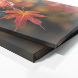 Maple Tree Autumns Whisper 66