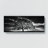 Maple Tree Maple 77