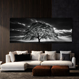 Maple Tree Maple 77