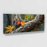 Maple Tree Maple Majesty 44