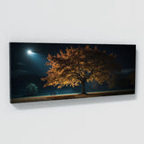 Maple Tree Moonlit Maple Noir 68