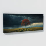 Maple Tree Stormy Maple Solitude 62