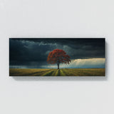 Maple Tree Stormy Maple Solitude 62