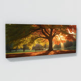 Maple Tree Sunrise Serenity 81