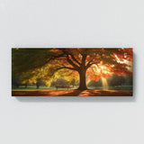Maple Tree Sunrise Serenity 81