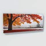 Maple Tree Winters Last Ember 83