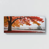Maple Tree Winters Last Ember 83