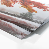 Maple Tree Winters Last Ember 83