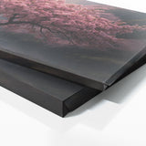 Cherry Blossom Blossom 112
