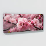 Cherry Blossom Blossom 134