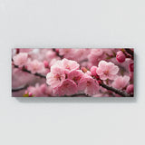 Cherry Blossom Blossom 134