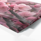 Cherry Blossom Blossom 134