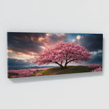 Cherry Blossom Blossom Sky Drama 109