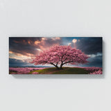 Cherry Blossom Blossom Sky Drama 109