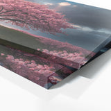 Cherry Blossom Blossom Sky Drama 109