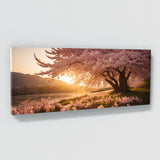 Cherry Blossom Golden 113